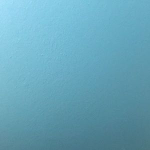 Meet your Posher, Shane